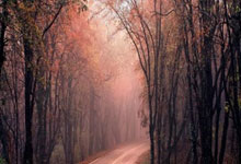 [图]帕尔默大四喜 切尔西4-2布赖顿联赛三连胜.