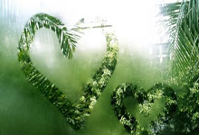 1.5亿豪购皇马左路新星,瓜帅斥巨资吸引,巴西边锋会怎么考虑.